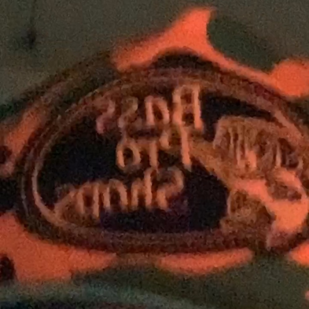 Meet your Posher, Quincy